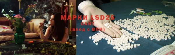 spice Аркадак