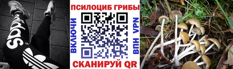 Галлюциногенные грибы ЛСД  кракен зеркало  площадка клад  Лянтор 